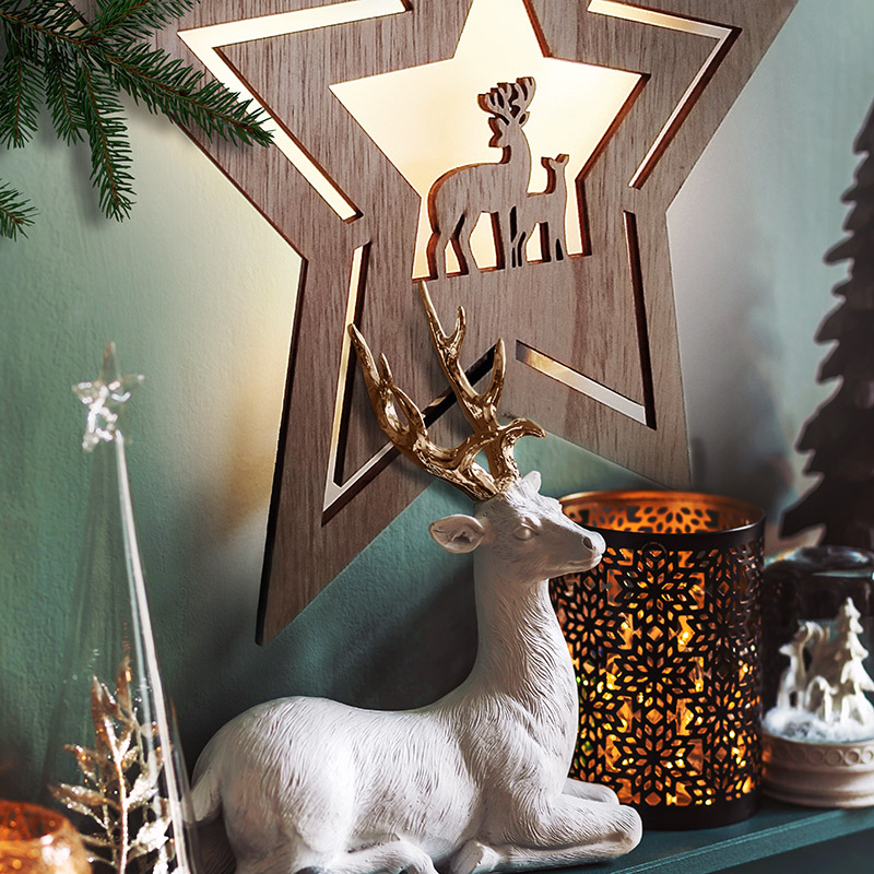 Solight LED-seinakaunistus jõulutäht, 24x LED, 2x AA - Image 8