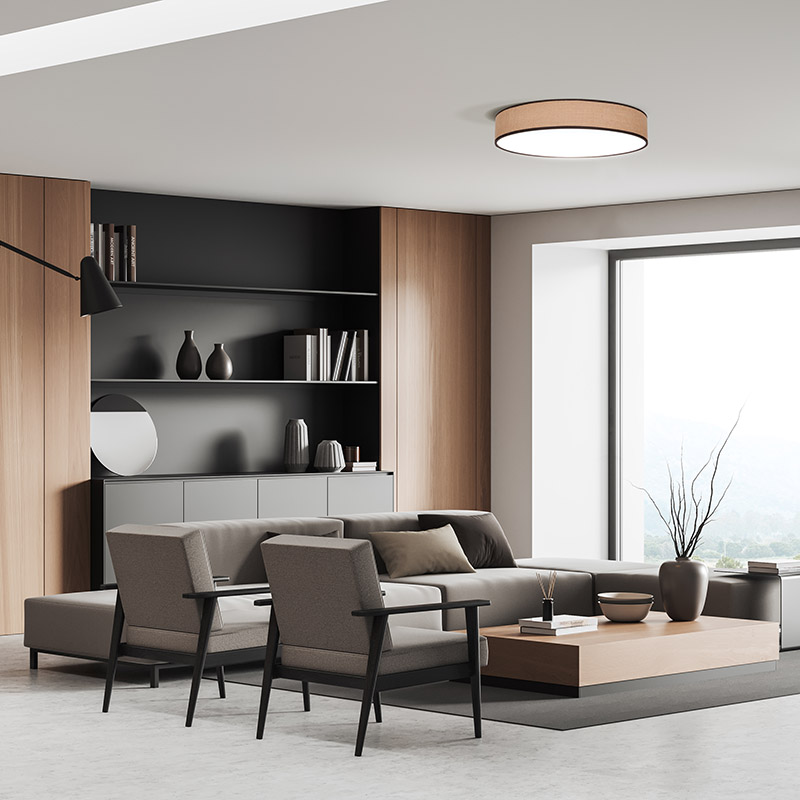 Solight LED valgustus puldiga Brownie, 60W, 4200lm, 50cm, värvimuutus, hämardatav - Image 2